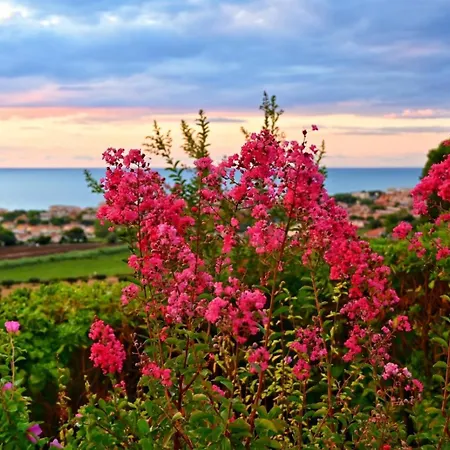 Bilo Belvedere Sx - Bilocale Con Giardino, Wifi E Vista Mare *